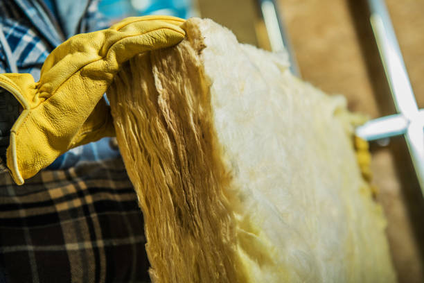 Best Insulation Maintenance and Repair in Sandston, VA
