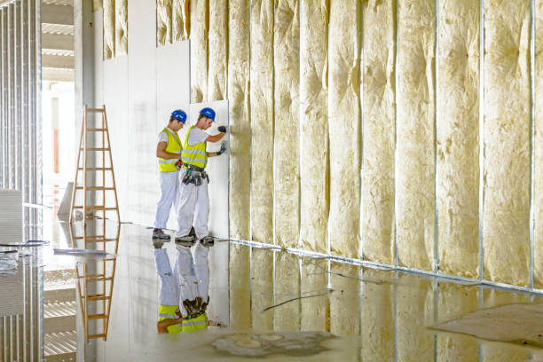 Best Specialty Insulation in Sandston, VA